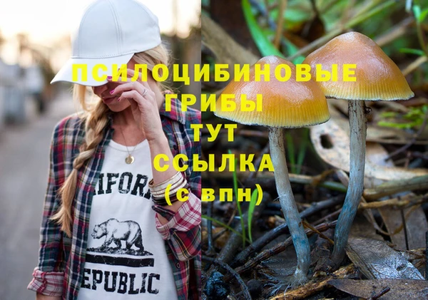 гашик Верхний Тагил