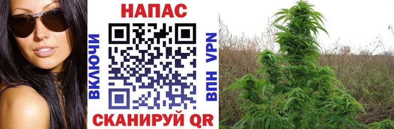 МАРИХУАНА VHQ  ссылка на мегу ONION  Трубчевск 